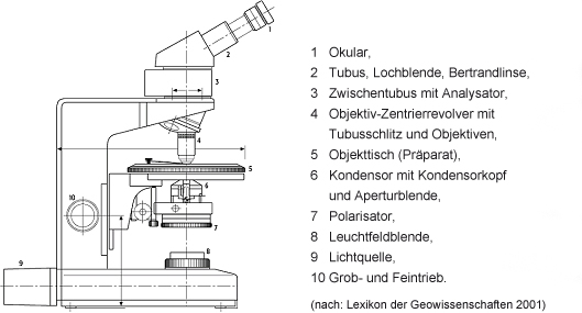 Abb. Polarisationsmikroskop